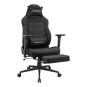 Cougar Silla Explore Neo Royal F