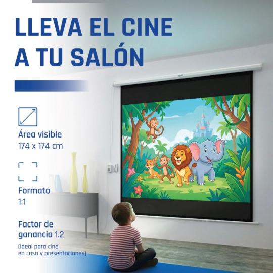 iggual Pantalla eléctrica 1:1 100" 180x180 cm