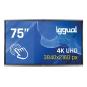 iggual Pantalla interactiva 4K ORCHID 75" Webcam