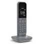Gigaset CL390 Inalámbrico DECT Gris