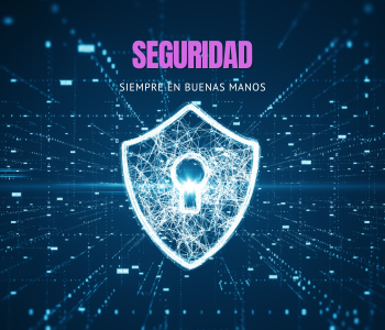 Seguridad image